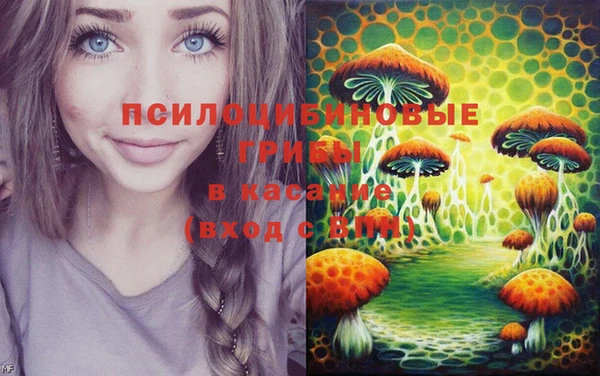 mdpv Магадан