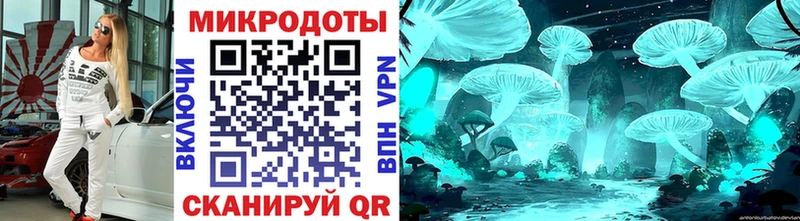 где можно купить   Мглин  Псилоцибиновые грибы MAGIC MUSHROOMS 